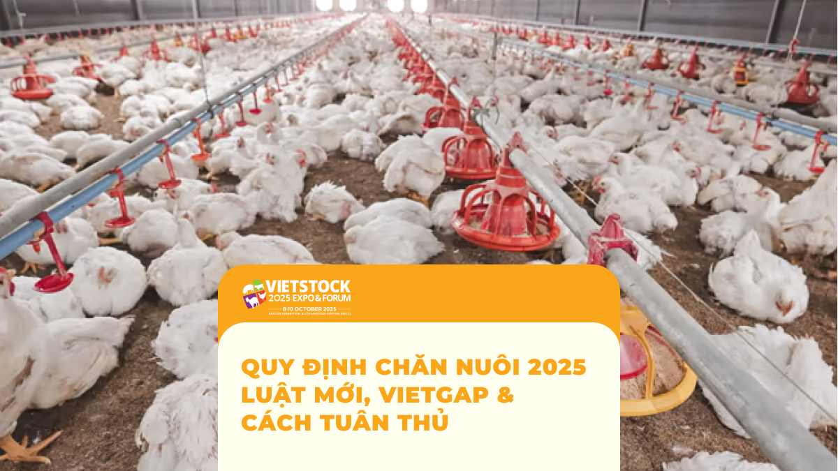 Quy Định Chăn Nuôi 2025 Luật Mới, VietGAP & Cách Tuân Thủ